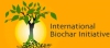 International Biochar Initiative
