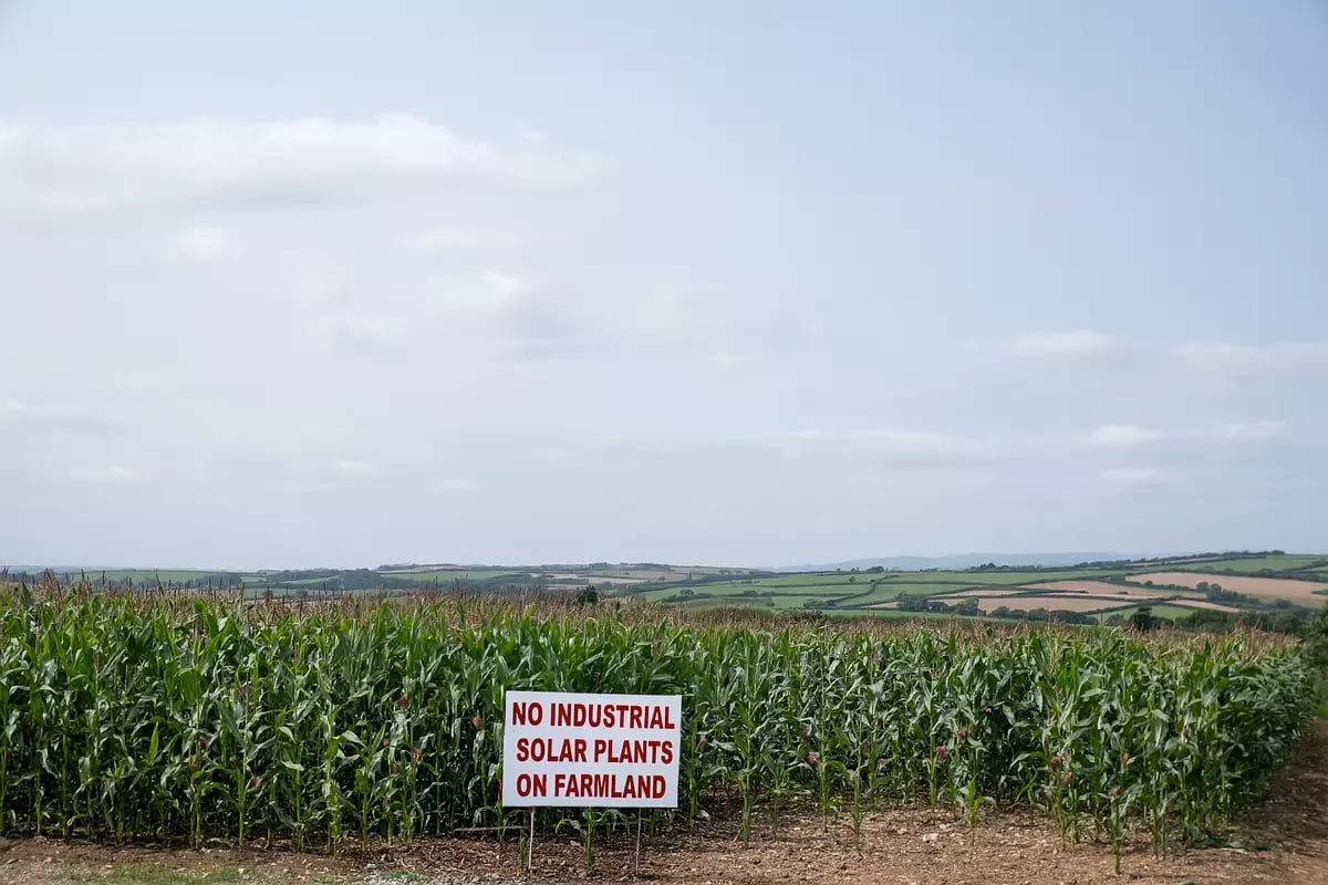 A sign reading "No industrial solar plants on farmland" next to a corn field