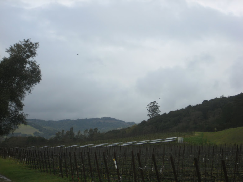 California’s Wine Country is Harvesting Grapes and Sunlight - Part 2: Great Location